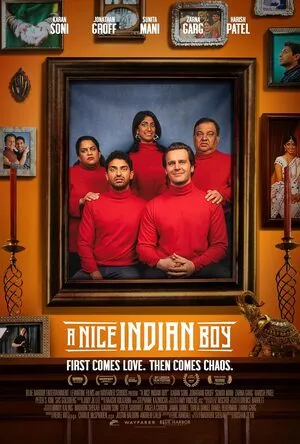 A Nice Indian Boy 2025 Hindi Dual Audio WEB-DL 720p - 480p - 1080p - Movierulz
