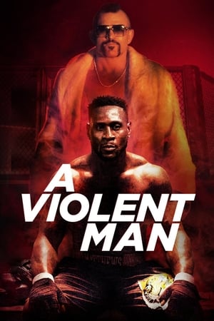 A Violent Man 2017 Hindi Dual Audio 480p WebRip 330MB - Movierulz