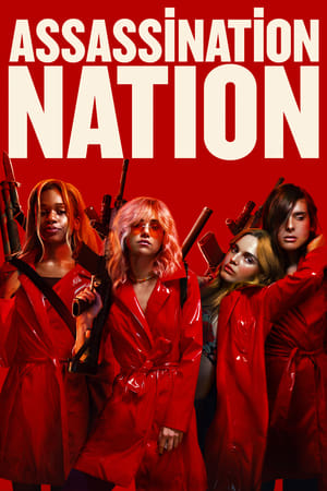 Assassination Nation (2018) Hindi Dual Audio 480p BluRay 400MB - Movierulz