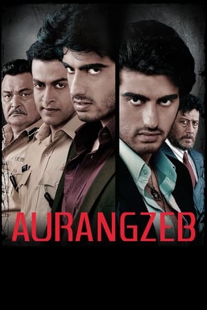 Aurangzeb (2013) Hindi Movie 480p HDRip – [370MB] - Movierulz
