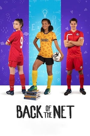 Back of the Net (2019) Hindi Dual Audio 720p Web-DL [800MB] - Movierulz