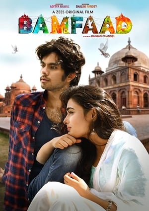 Bamfaad 2020 Hindi Movie 720p HDRip x264 [790MB] - Movierulz