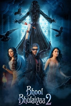 Bhool Bhulaiyaa 2 2022 Hindi Movie Web-DL 720p – 480p - Movierulz
