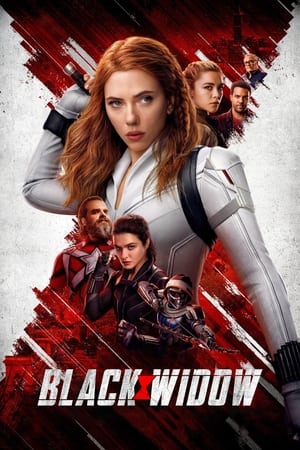 Black Widow (2021) Hindi Dual Audio 480p HDRip 450MB - Movierulz