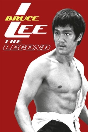 Bruce Lee the Legend 1984 Hindi Dual Audio 720p HDTVRip [1GB] - Movierulz