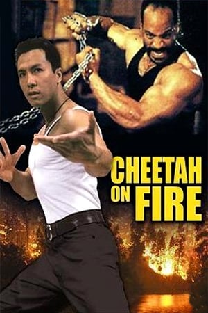 Cheetah on Fire 1992 Hindi Dual Audio 480p Web-DL 290MB - Movierulz