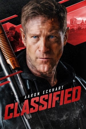 Classified 2024 Hindi Subbed WEBRip 720p - Movierulz