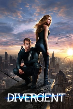 Divergent (2014) Hindi Dual Audio 720p BluRay [1.3GB] - Movierulz