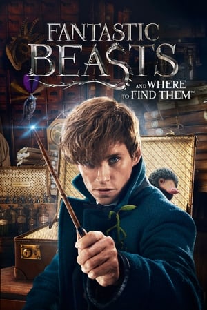 Fantastic Beasts and Where to Find Them 2016 Dual Audio (Hindi) BluRay 720p [1.1 GB] - Movierulz