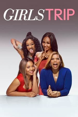 Girls Trip (2017) Hindi Dual Audio 480p BluRay 400MB - Movierulz