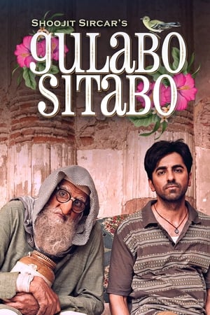 Gulabo Sitabo 2020 Hindi Movie 480p HDRip - [360MB] - Movierulz