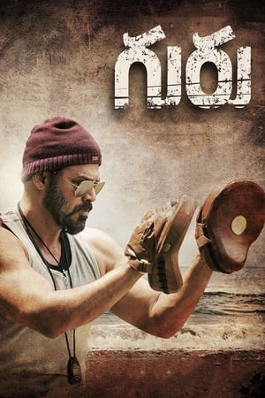 Guru (2017) Hindi Dual Audio 720p UnCut HDRip [1.1GB] - Movierulz