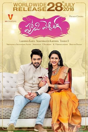 Happy Wedding (2018) (Hindi - Telugu) Dual Audio 720p UnCut HDRip [1.4GB] - Movierulz