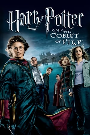 Harry Potter and the Goblet of Fire 2005 Hindi Dual Audio WEB-DL 1080p - 720p - 480p - Movierulz