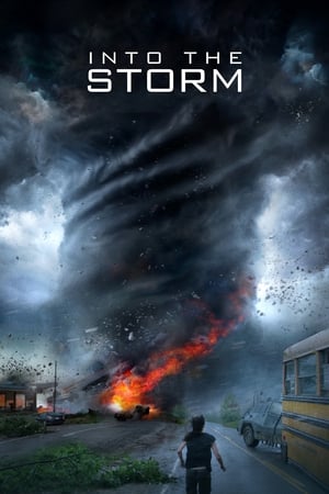 Into the Storm (2014) Hindi Dual Audio 720p BluRay [1GB] - Movierulz