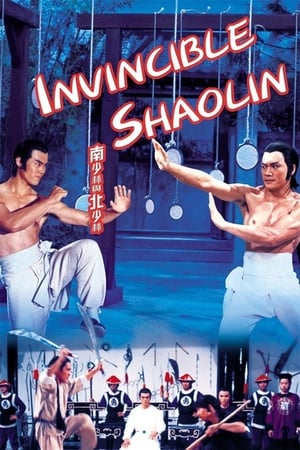 Invincible Shaolin 1978 Hindi Dual Audio 480p BluRay 300MB - Movierulz