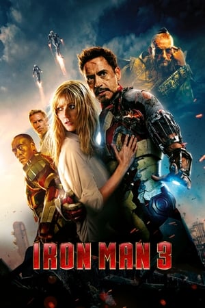 Iron Man 3 (2013) Hindi Dual Audio 480p BluRay 300MB - Movierulz