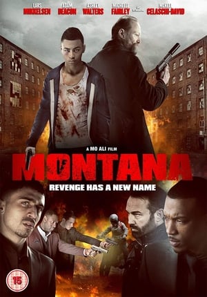 Montana (2014) Hindi Dual Audio 480p BluRay 350MB - Movierulz