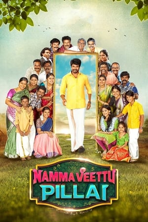 Namma Veettu Pillai (2019) (Hindi -Tamil) Dual Audio 720p UnCut HDRip [1.4GB] - Movierulz