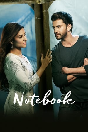 Notebook (2019) Hindi Movie 480p HDRip - [400MB] - Movierulz