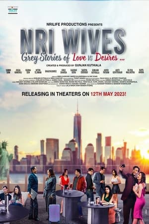 NRI Wives 2023 Hindi Pre-DVDRip | 720p | 480p - Movierulz