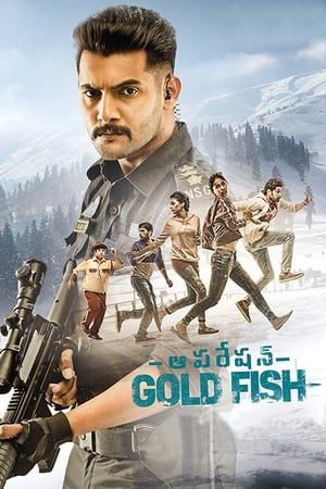 Operation Gold Fish 2019 (Hindi - Telugu) Dual Audio 480p UnCut HDRip 360MB - Movierulz