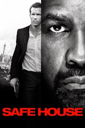 Safe House (2012) Hindi Dual Audio HDRip 720p – 480p - Movierulz