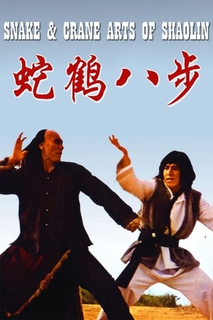 Snake and Crane Arts of Shaolin 1978 Hindi Dual Audio 480p BluRay 300MB - Movierulz
