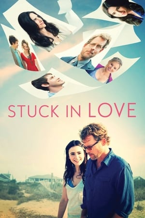 Stuck in Love (2012) Hindi Dual Audio 480p BluRay 300MB - Movierulz