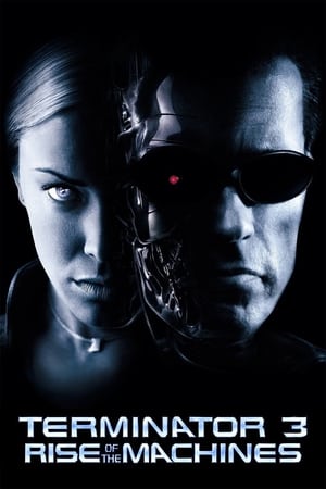 Terminator 3: Rise of the Machines (2003) Hindi Dual Audio 720p BluRay [850MB] - Movierulz