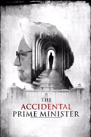 The Accidental Prime Minister (2019) Hindi Movie 480p HDRip - [400MB] - Movierulz