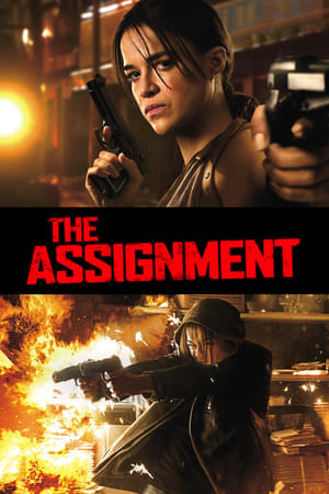 The Assignment (2016) Hindi Dual Audio 720p BluRay [850MB] - Movierulz