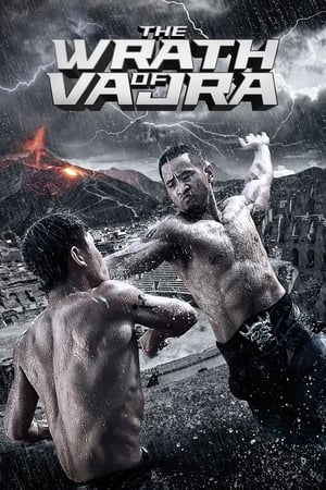 The Wrath of Vajra (2013) Hindi Dual Audio 480p BluRay 350MB - Movierulz