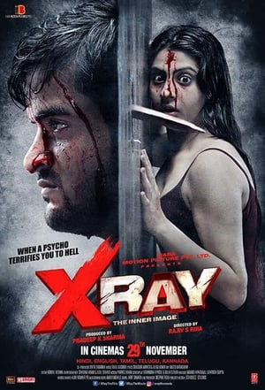 X Ray The Inner Image 2019 Movie 480p HDRip - [300MB] - Movierulz